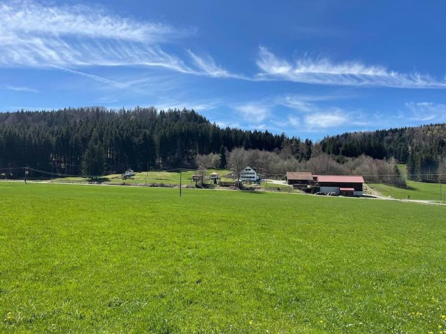 Idyllisches Ferienapartment Allgaeu Bad Groenenbach Bagian luar foto